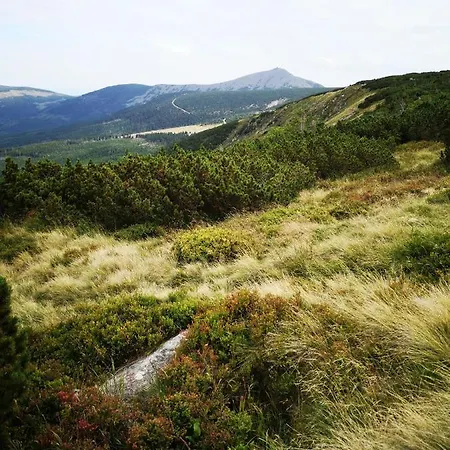 Przy Stoku Z Ogrodem I Tarasem - Pod Karpatka *