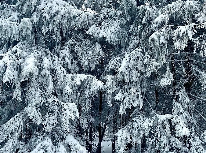 Lejlighed Przy Stoku Z Ogrodem I Tarasem - Pod Karpatka