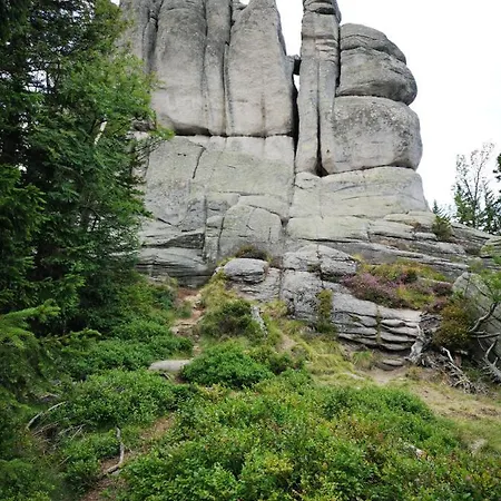 Apartament Z Ogrodem I Tarasem - Pod Karpatką