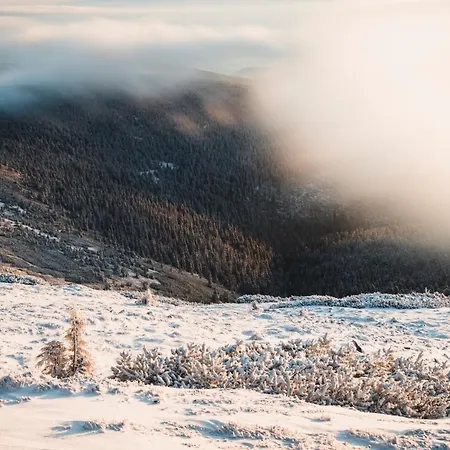 Z Ogrodem I Tarasem - Pod Karpatką *