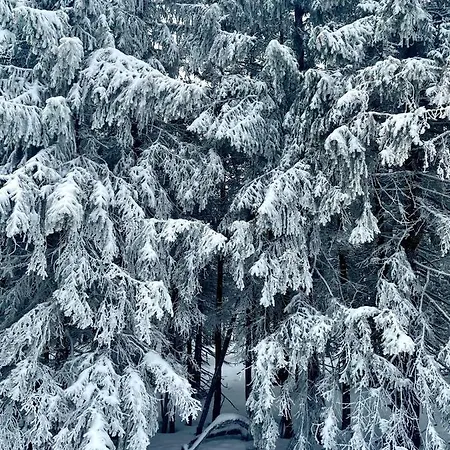 Apartament Z Ogrodem I Tarasem - Pod Karpatką