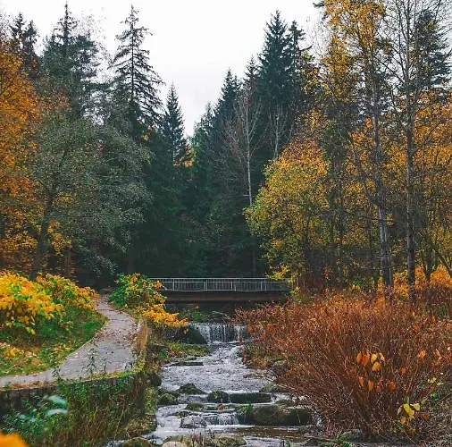 Appartement Przy Stoku Z Ogrodem I Tarasem - Pod Karpatka