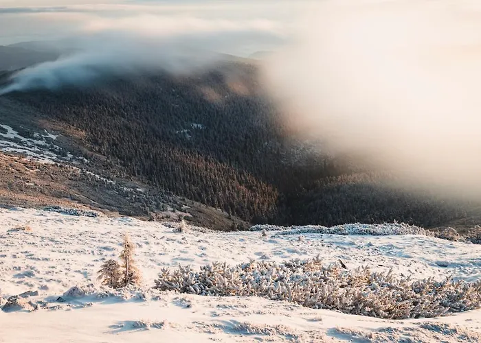 Przy Stoku Z Ogrodem I Tarasem - Pod Karpatka *