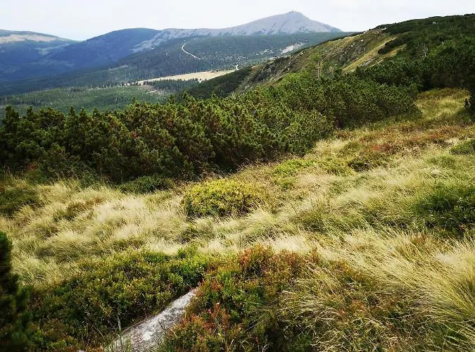 Przy Stoku Z Ogrodem I Tarasem - Pod Karpatka *