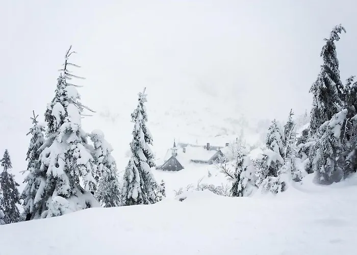 Appartement Przy Stoku Z Ogrodem I Tarasem - Pod Karpatka